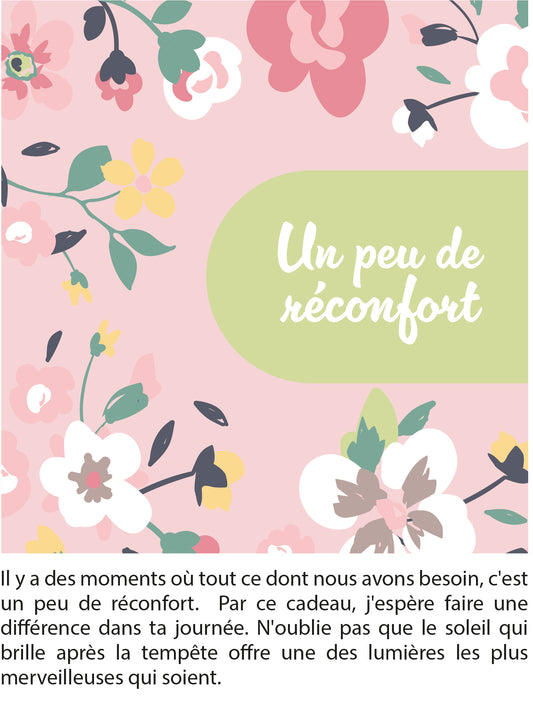 Journal de gratitude «5 minutes inspirantes» Chantal Lacroix - PAPETERIE -  CADEAUX -  - Livres + cadeaux + jeux